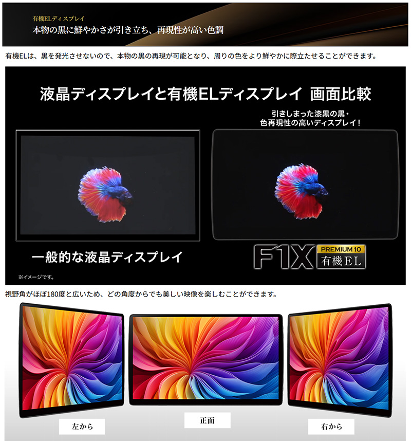 Panasonic（パナソニック） CN-F1X10C1DA Panasonic Strada ストラーダ