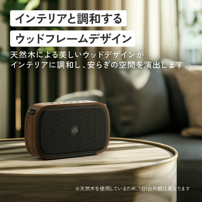 JVCケンウッド（JVC KENWOOD） SP-WS04BT-T JVCケンウッド KENWOOD