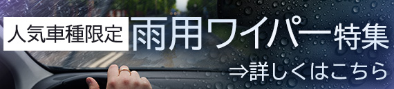 ѥ磻ѡý