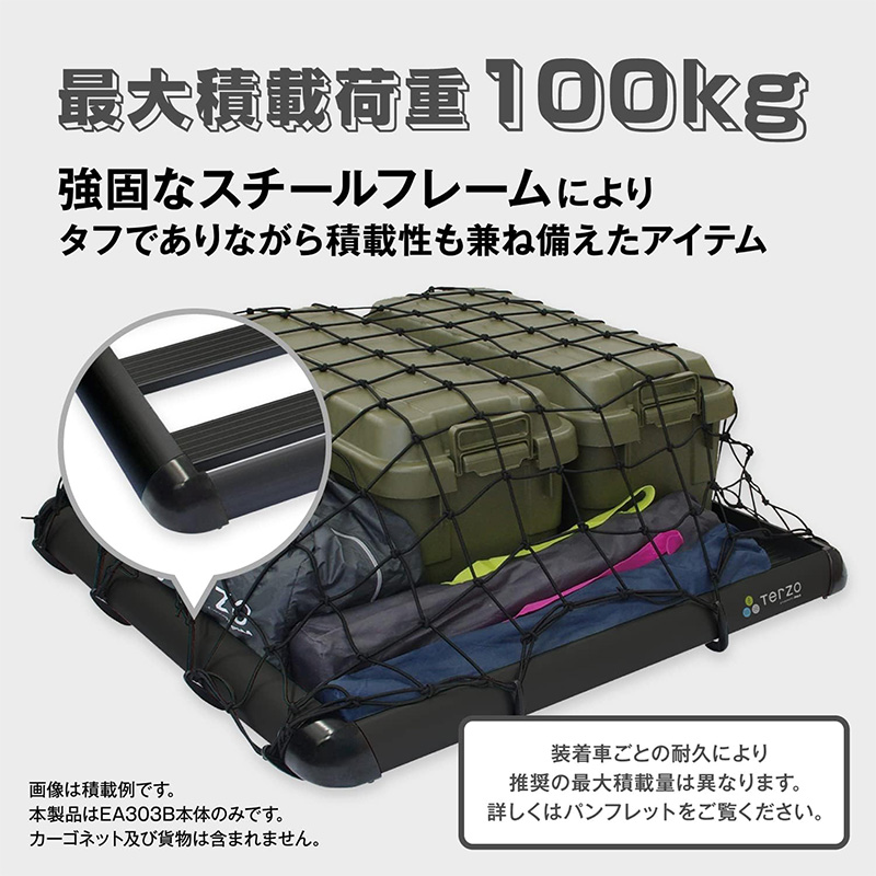 TERZO EA303B テルッツオ テルッツォ ルーフラック レギュラー