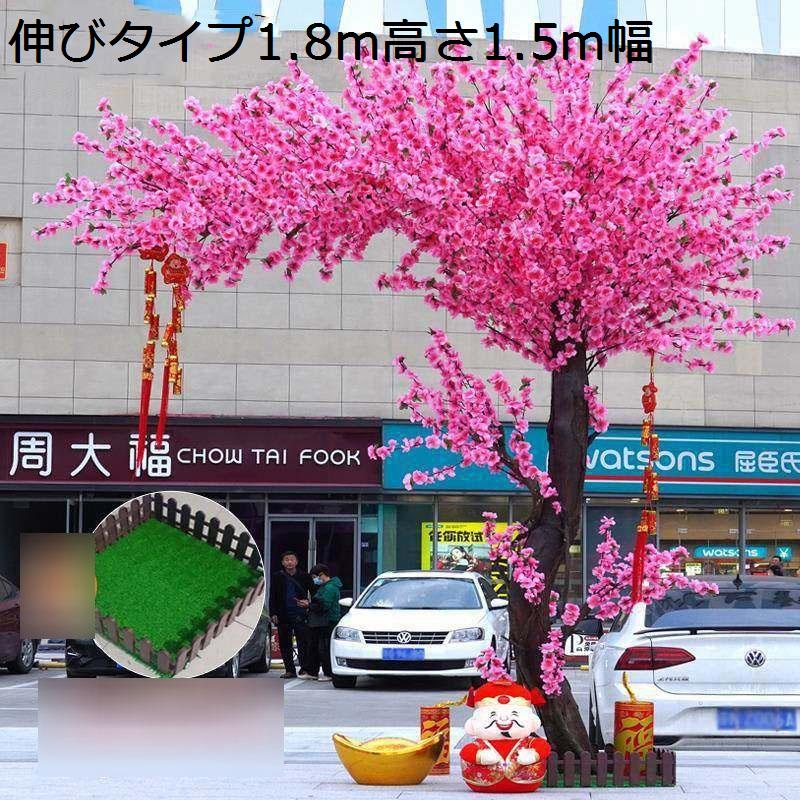 桃の木の商品一覧 通販 - Yahoo!ショッピング