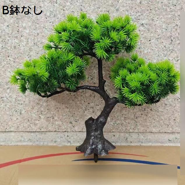 松 鉢植えの商品一覧 通販 - Yahoo!ショッピング
