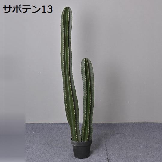 サボテン 弁慶柱のおすすめ人気商品一覧 通販 - Yahoo!ショッピング