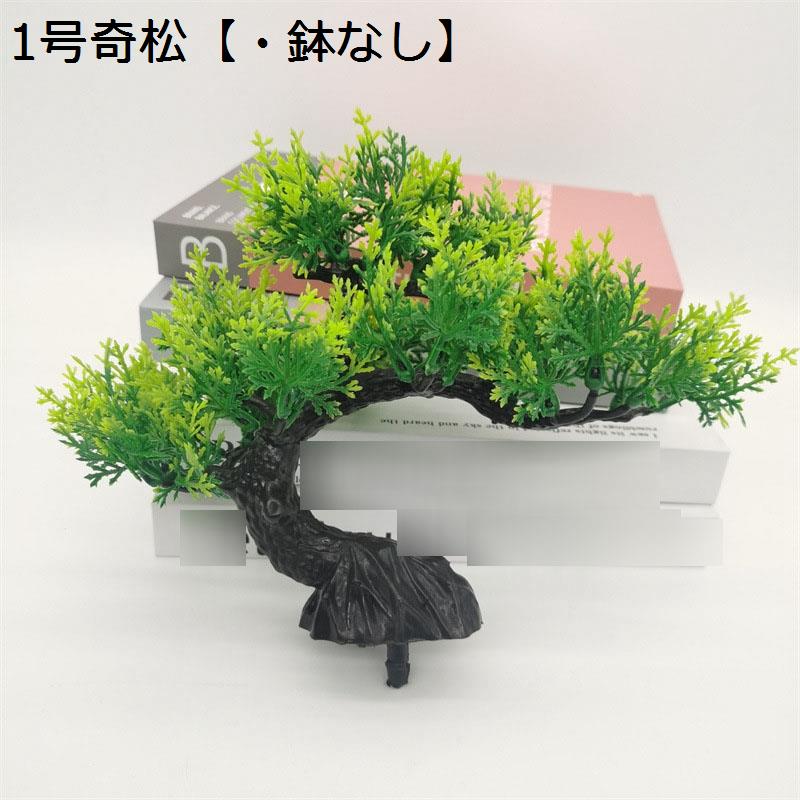 松 鉢植えのおすすめ人気商品一覧 通販 - Yahoo!ショッピング