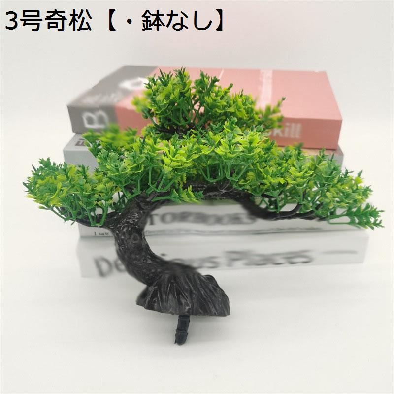 松 鉢植えのおすすめ人気商品一覧 通販 - Yahoo!ショッピング