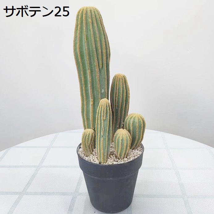 人工観葉植物 柱サボテン 大型 フェイクグリーン 1本 簡単世話いらず