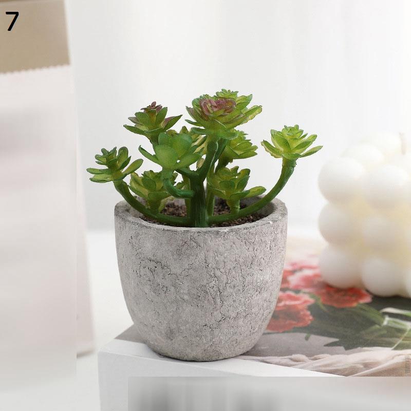 多肉植物（人工観葉、フェイクグリーン） | 花、ガーデニング の商品