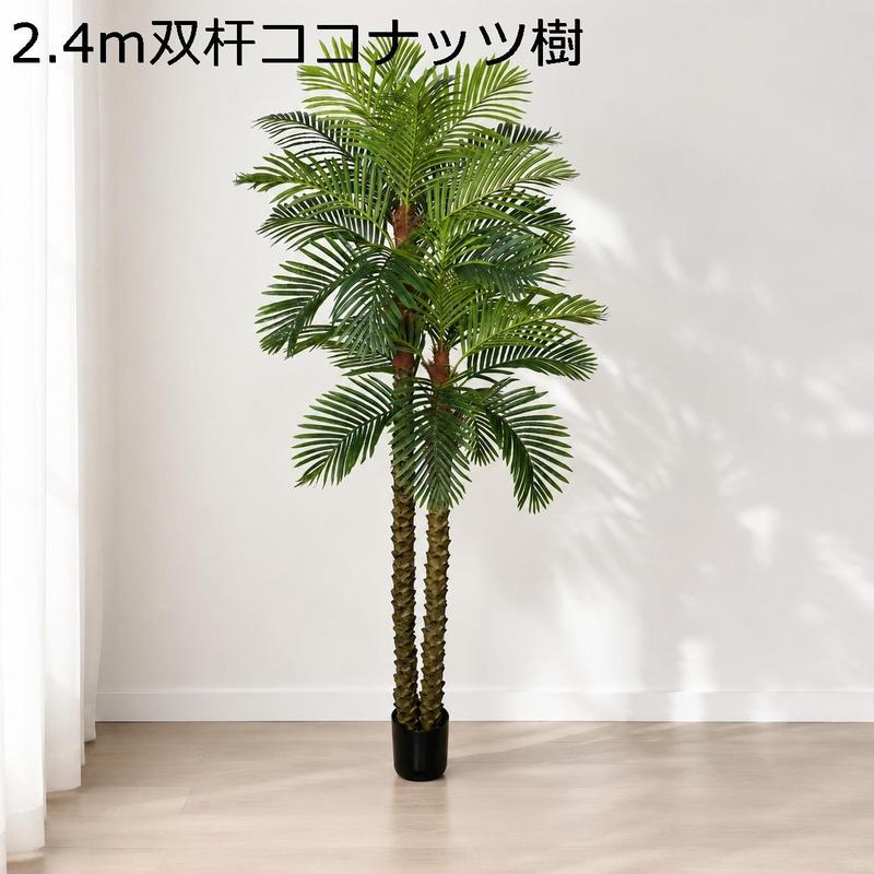 ナツメヤシの木の商品一覧 通販 - Yahoo!ショッピング