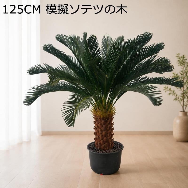 ソテツの商品一覧 通販 - Yahoo!ショッピング