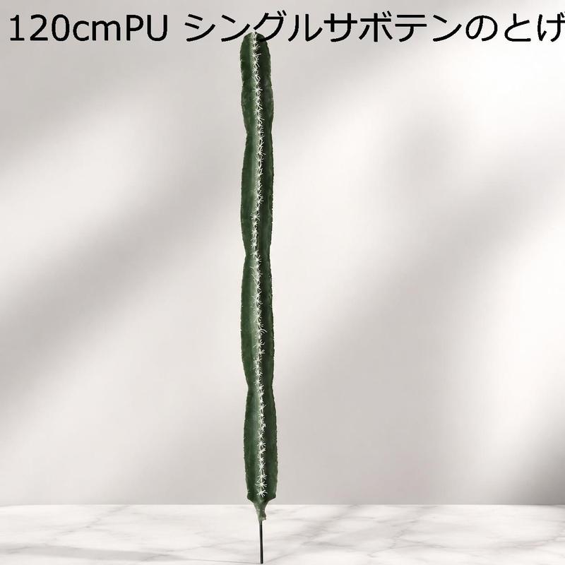 柱サボテン 弁慶柱の商品一覧 通販 - Yahoo!ショッピング