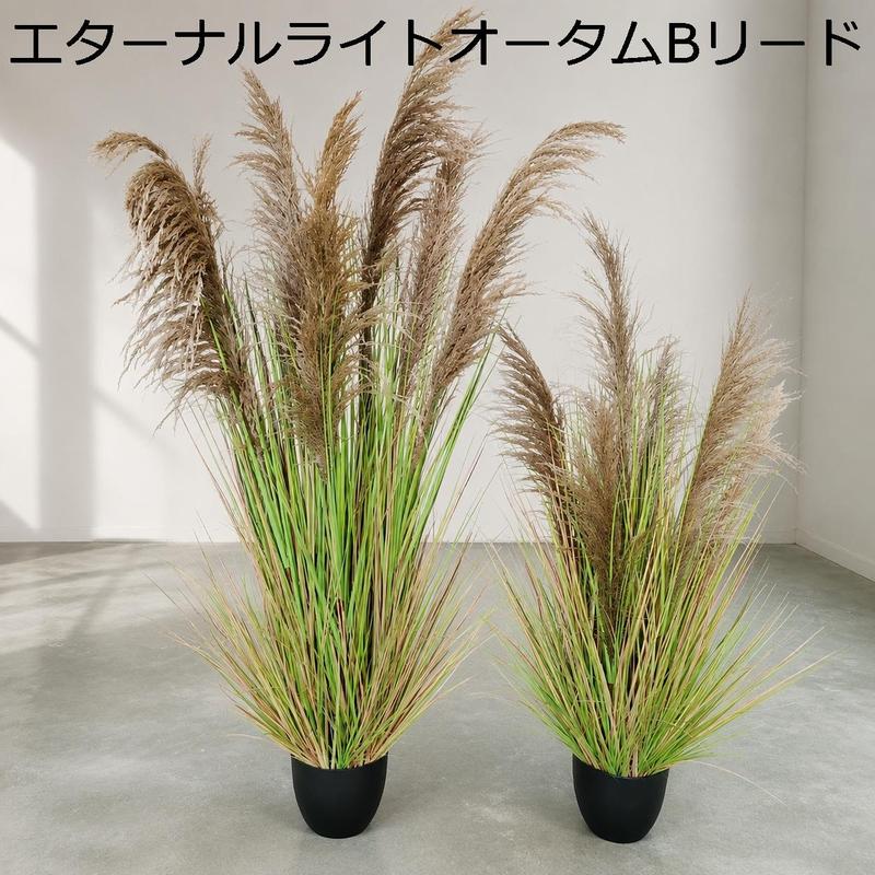 人工観葉植物 パンパスグラス 鉢植え フェイク植物 大型 リアル 室内用