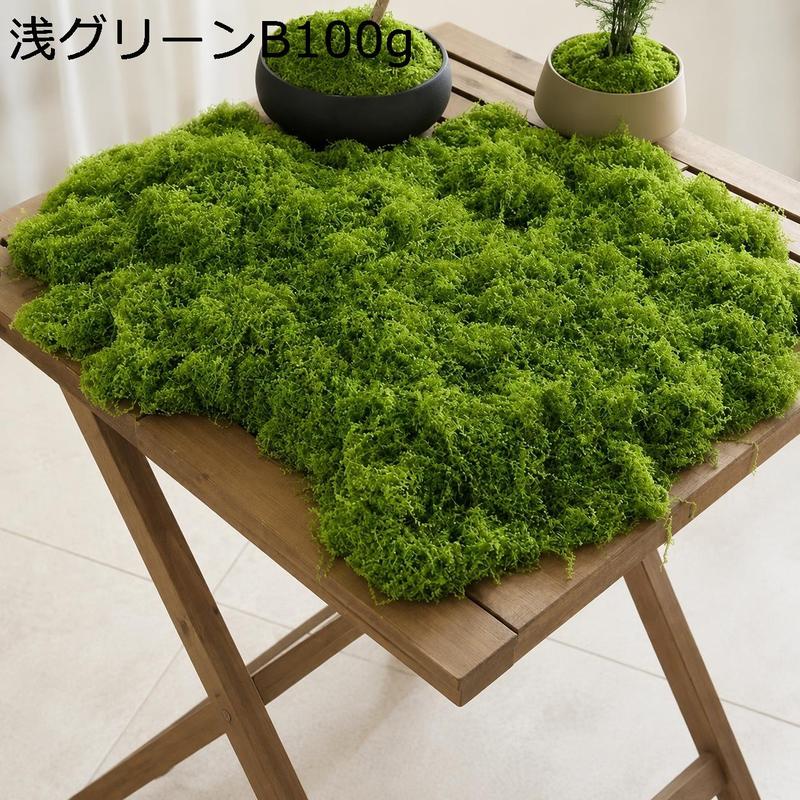 人工苔 フェイクモス ドライモス テラリウム ジオラマ 鉢植え 装飾用