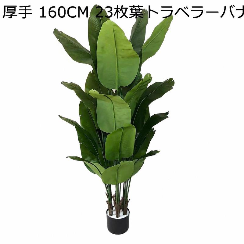 旅人の木の商品一覧 通販 - Yahoo!ショッピング