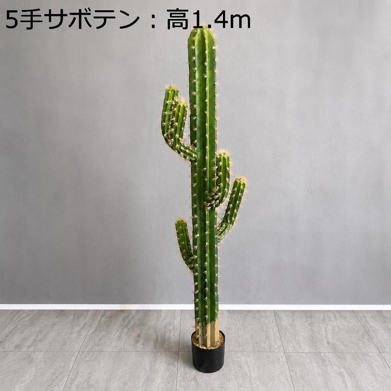 柱サボテンの商品一覧 通販 - Yahoo!ショッピング