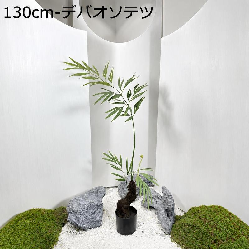 キンモウコウの商品一覧 通販 - Yahoo!ショッピング