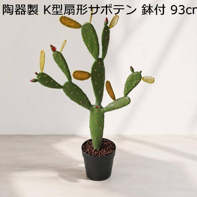サボテンの商品一覧 通販 - Yahoo!ショッピング