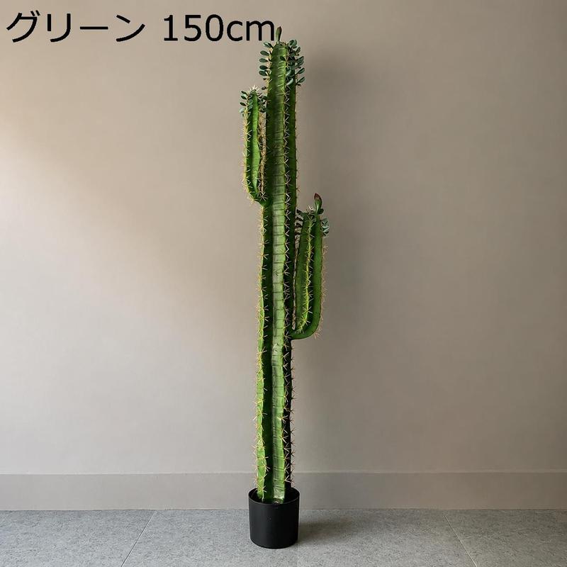 柱サボテン 弁慶柱の商品一覧 通販 - Yahoo!ショッピング