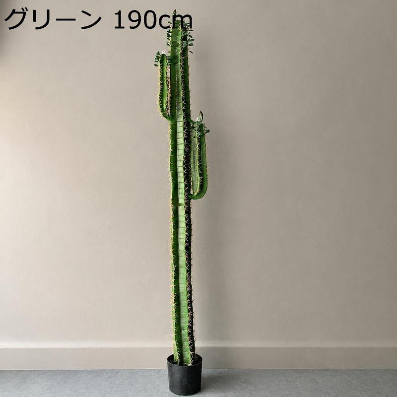 柱サボテン 弁慶柱の商品一覧 通販 - Yahoo!ショッピング
