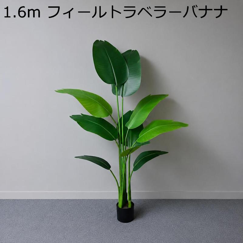 旅人の木の商品一覧 通販 - Yahoo!ショッピング