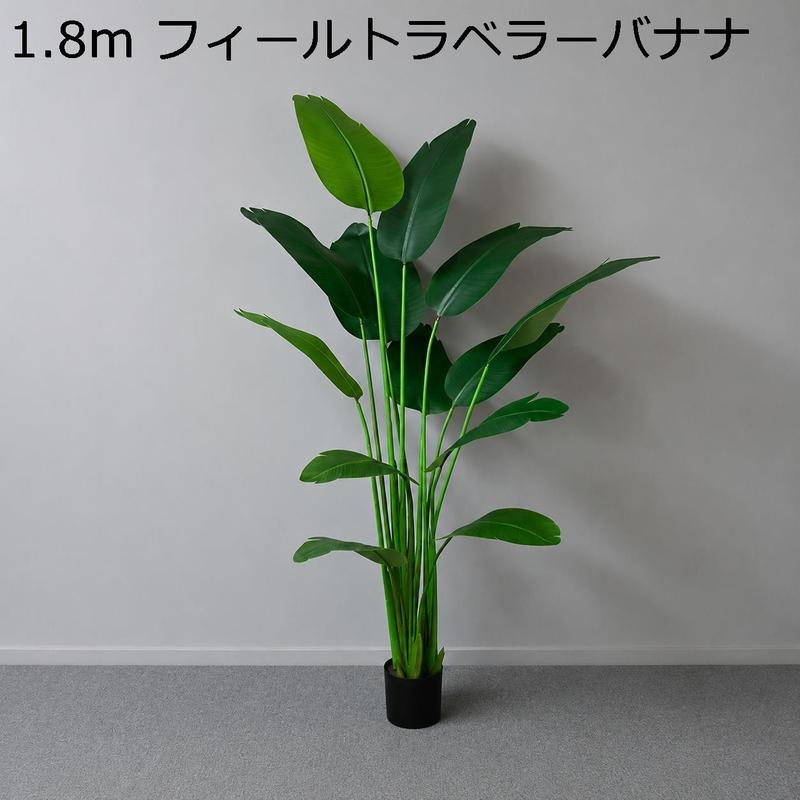 旅人の木の商品一覧 通販 - Yahoo!ショッピング