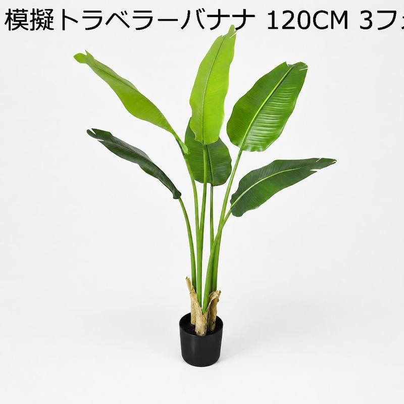 旅人の木の商品一覧 通販 - Yahoo!ショッピング