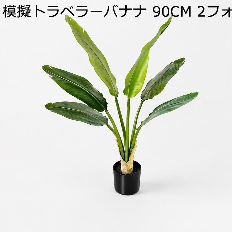 旅人の木の商品一覧 通販 - Yahoo!ショッピング