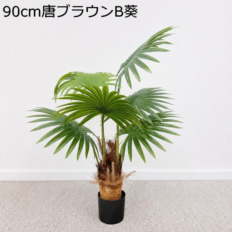 ビロウヤシの商品一覧 通販 - Yahoo!ショッピング