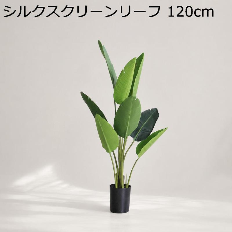 旅人の木の商品一覧 通販 - Yahoo!ショッピング