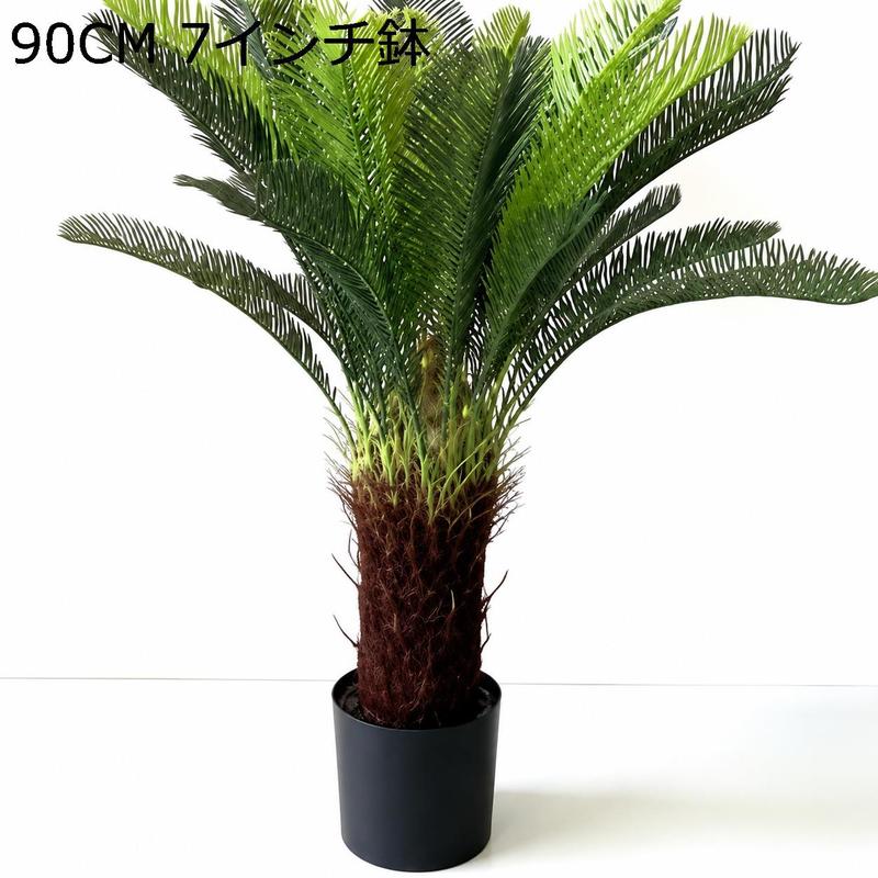 ソテツの商品一覧 通販 - Yahoo!ショッピング