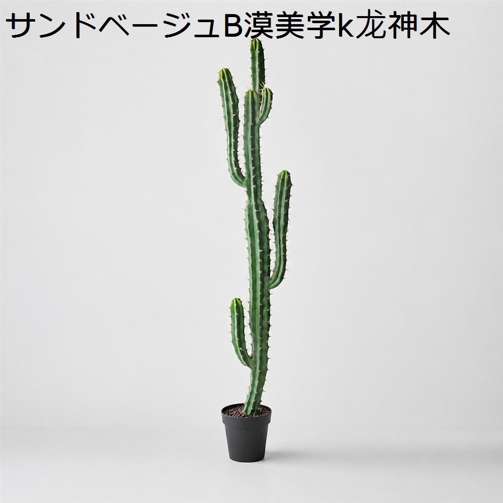 竜神木のおすすめ人気商品一覧 通販 - Yahoo!ショッピング