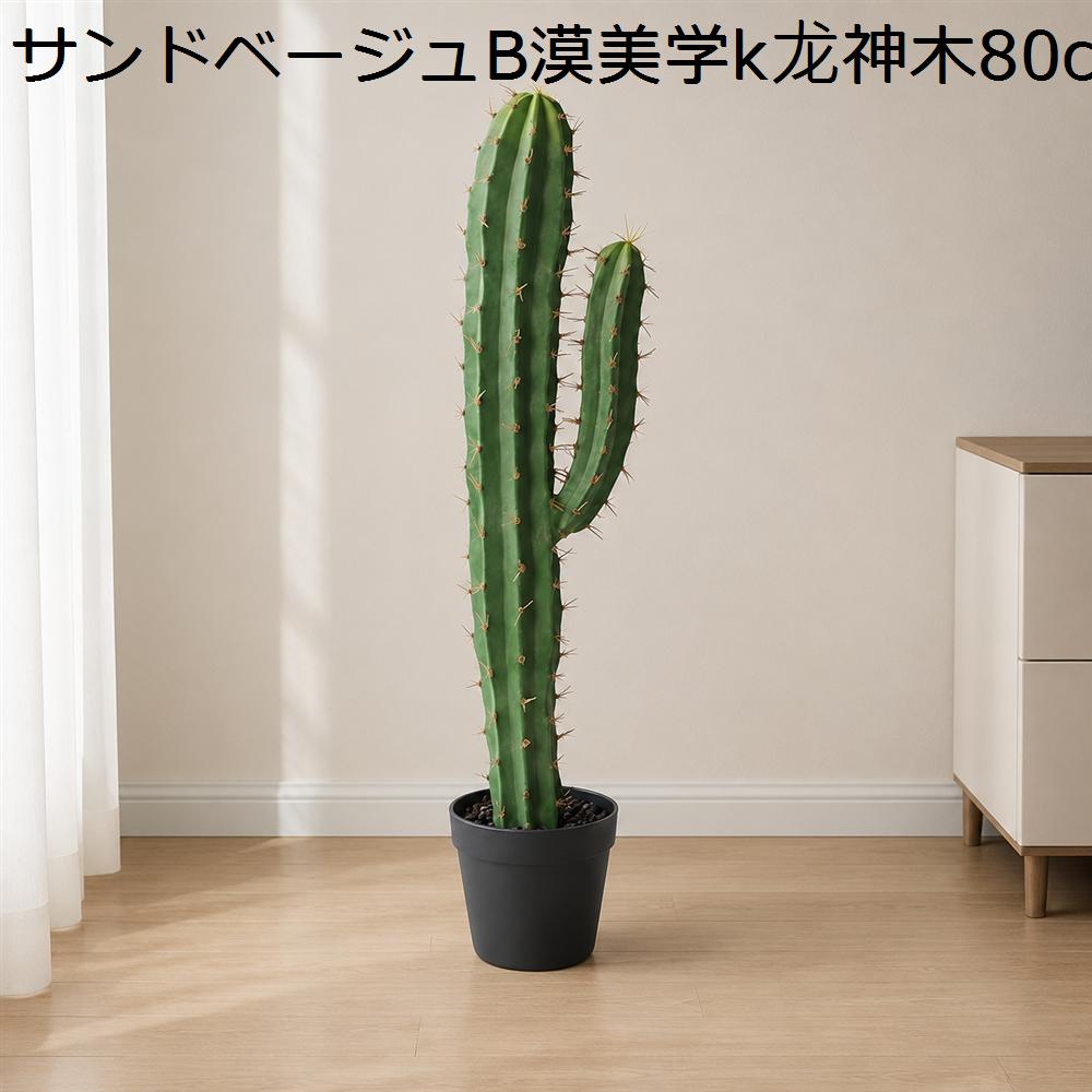 竜神木のおすすめ人気商品一覧 通販 - Yahoo!ショッピング