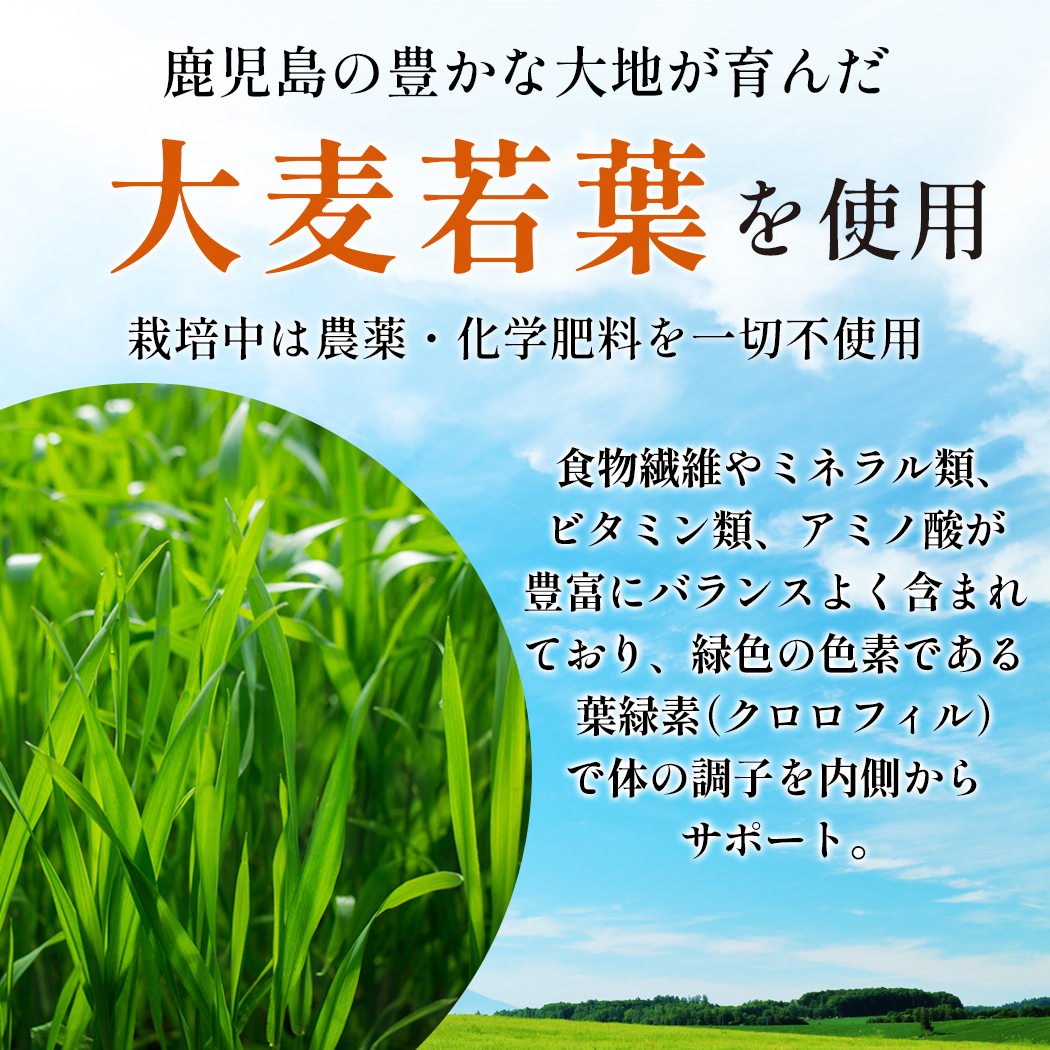 大麦若葉の説明