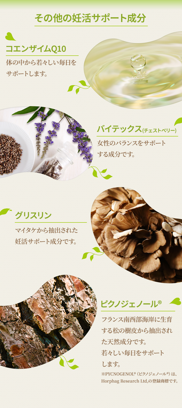 妊活 サプリ 大豆イソフラボン アグリマックス aglymax