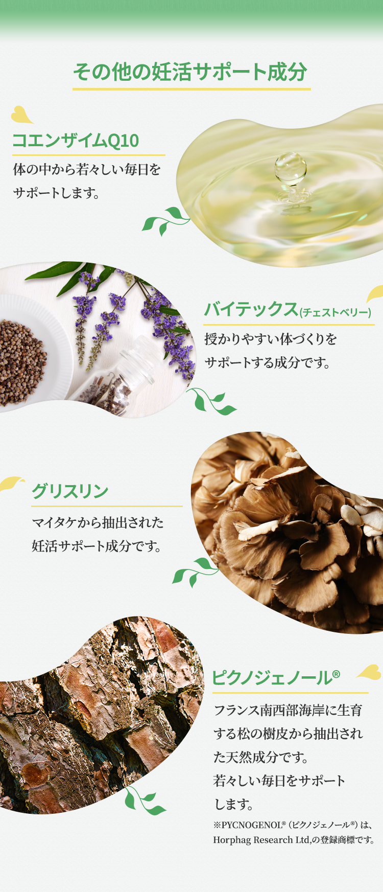その他の妊活サポート成分コエンザイムQ10体の中から若々しい毎日をサポートします。バイテックス(チェストベリー)授かりやすい体づくりをサポートする成分です。グリスリンマイタケから抽出された妊活サポート成分です。ピクノジェノール フランス南西部海岸に生育する松の樹皮から抽出された天然成分です。若々しい毎日をサポートします。※PYCNOGENOL（ピクノジェノール）は、Horphag Research Ltd,の登録商標です。