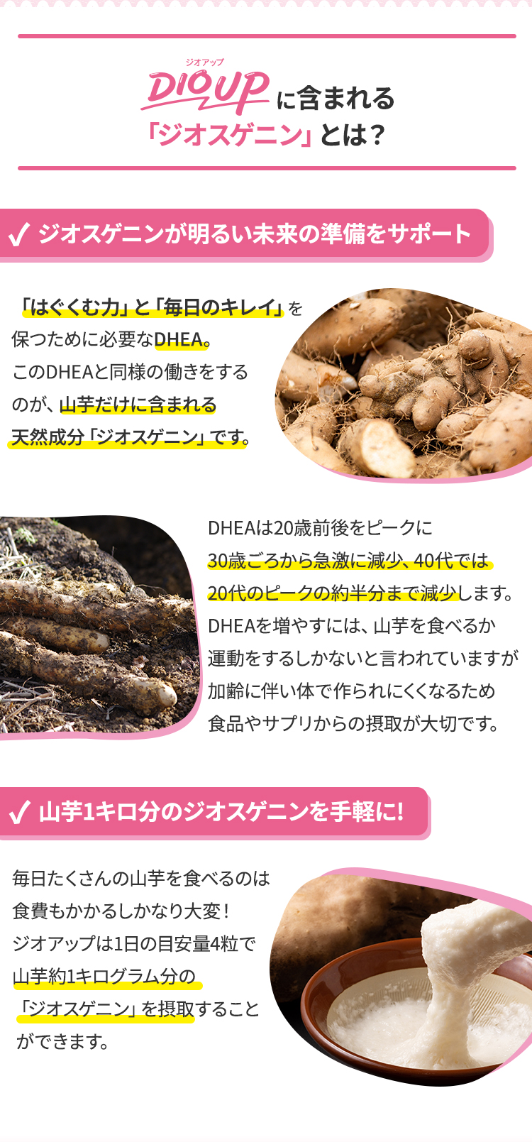 妊活 サプリ 妊娠 体づくり ジオスゲニン 山芋 レスベラトロール 亜鉛