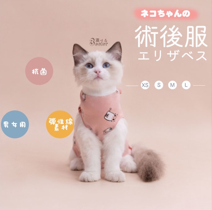 猫猫?后服主?.jpg