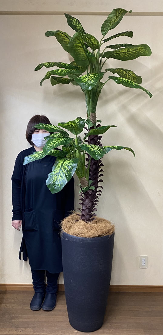 光触媒 造花 観葉植物 特大 ディフェンバキア 樹脂製大型鉢クリア