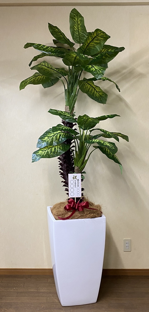 光触媒 造花 観葉植物 特大 ディフェンバキア グラスファイバー製大型