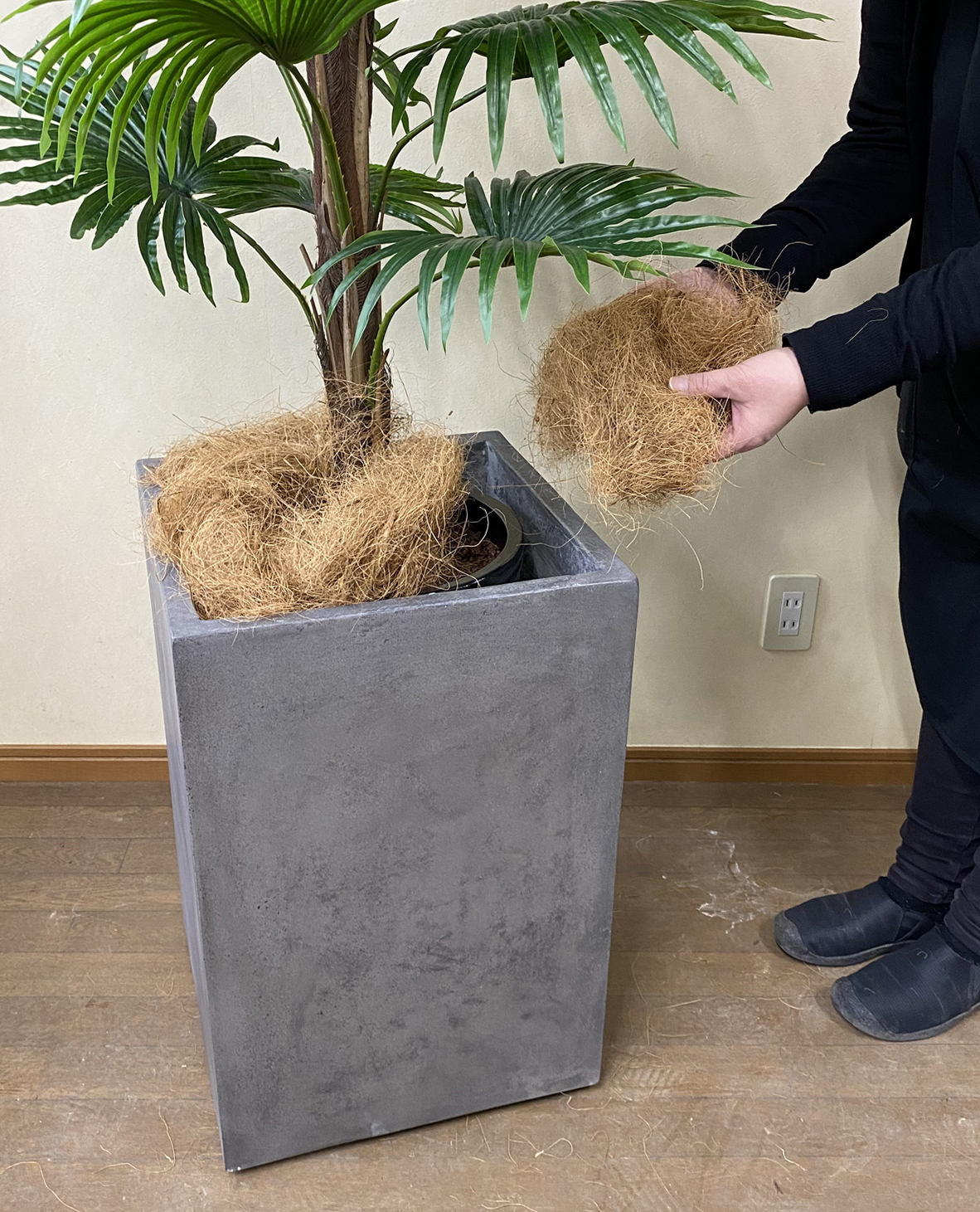 光触媒 造花 観葉植物 特大 シュロチク コンクリート風大型スクエア鉢グレイ 開院祝 開業祝 開店祝 移転祝 贈答