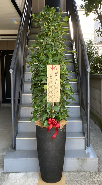 一部予約販売中】 三脚調節式 園芸脚立 サンキャクのび太郎 HSH-370