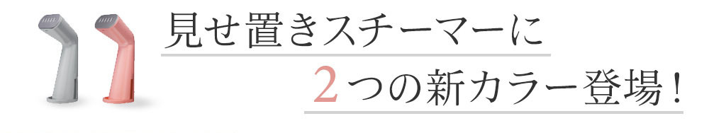 スタイルスチーマー D010 0 プラスマイナスゼロ 衣類スチーマー 送料無料 アンジェ 通販 Paypayモール