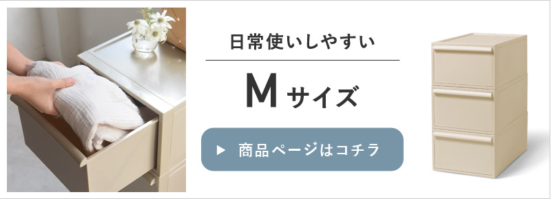 クローゼットシステム 収納ボックス L 2個セット 引出しタイプ