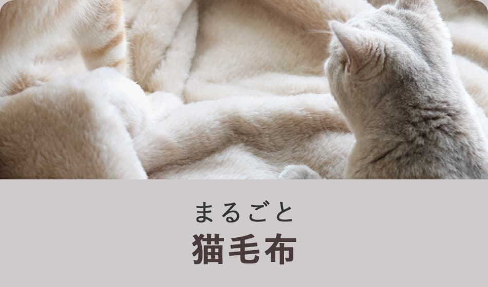 まるごと猫毛布