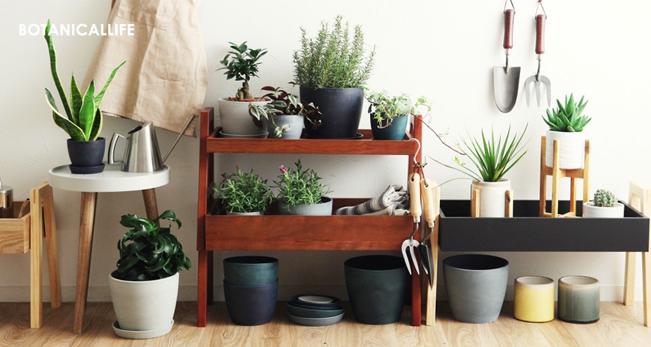 植物のある暮らし特集 :アンジェ - Yahoo!ショッピング