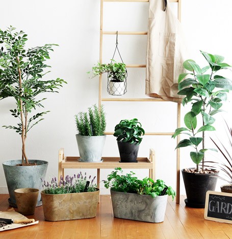 植物のある暮らし特集 :アンジェ - Yahoo!ショッピング