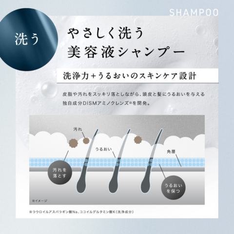 DISM ディズム スキンケアアンドリフトシャンプー トリートメントパック モイストアンドスムース  ブラック リフレッシュアンドエアリー アンファー メンズ | DISM | 07