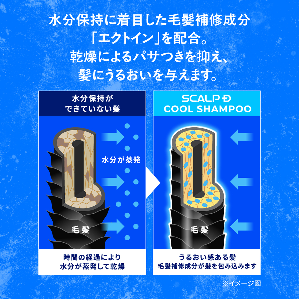 スカルプD メンズ シャンプー 男性 薬用 スカルプ シャンプー ボトル