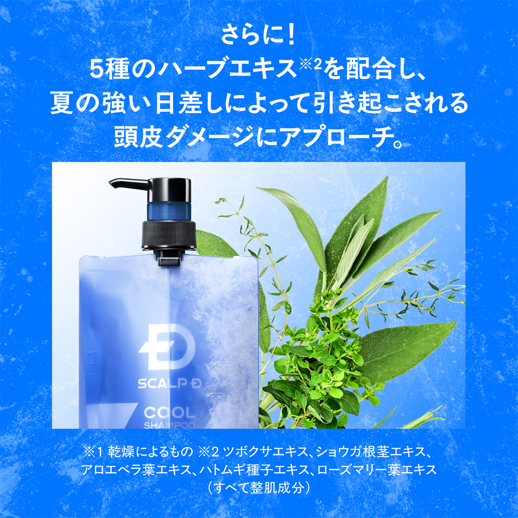 スカルプD メンズ シャンプー 男性 薬用 スカルプ シャンプー ボトル