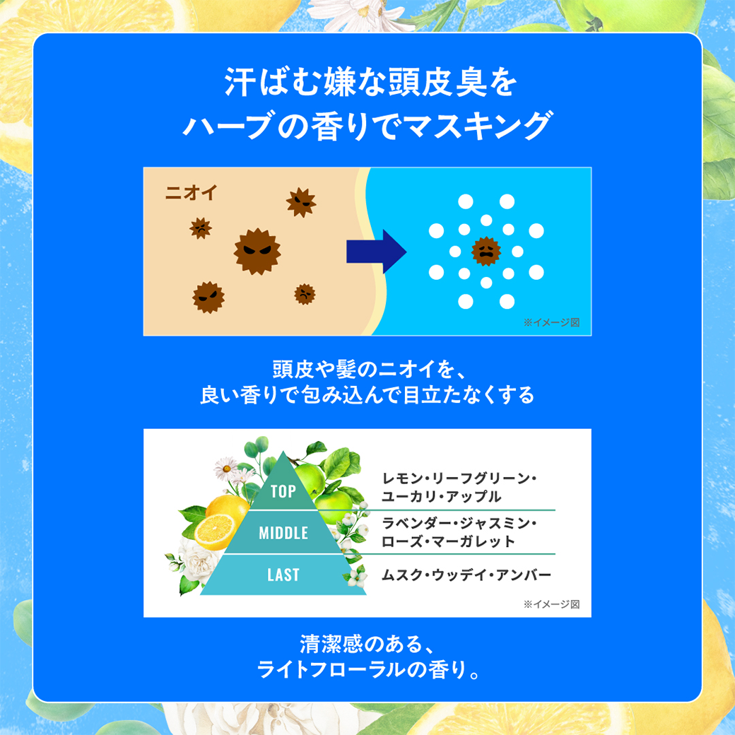 スカルプD メンズ シャンプー 男性 薬用 スカルプ シャンプー ボトル
