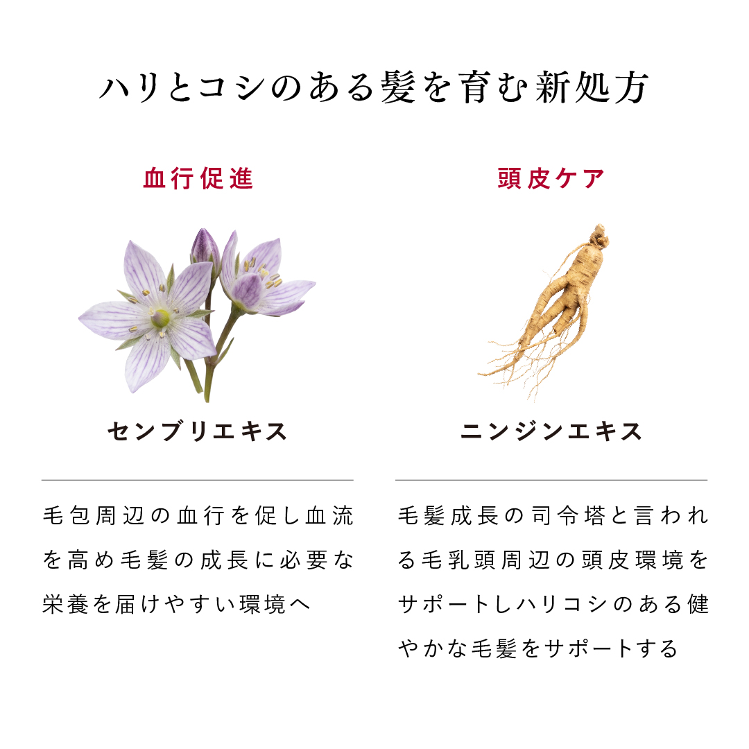 育毛剤 女性 育毛 発毛 薄毛 スカルプＤボーテ アンド クレアージュ メディカルエストロジー スカルプセラム つめかえ用 アンファー 女性用 レディース | スカルプD ボーテ | 12